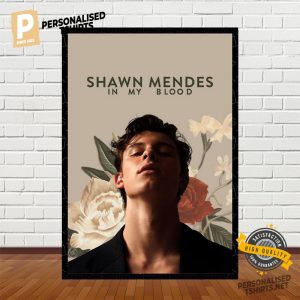 Shawn Mendes Singer Posters